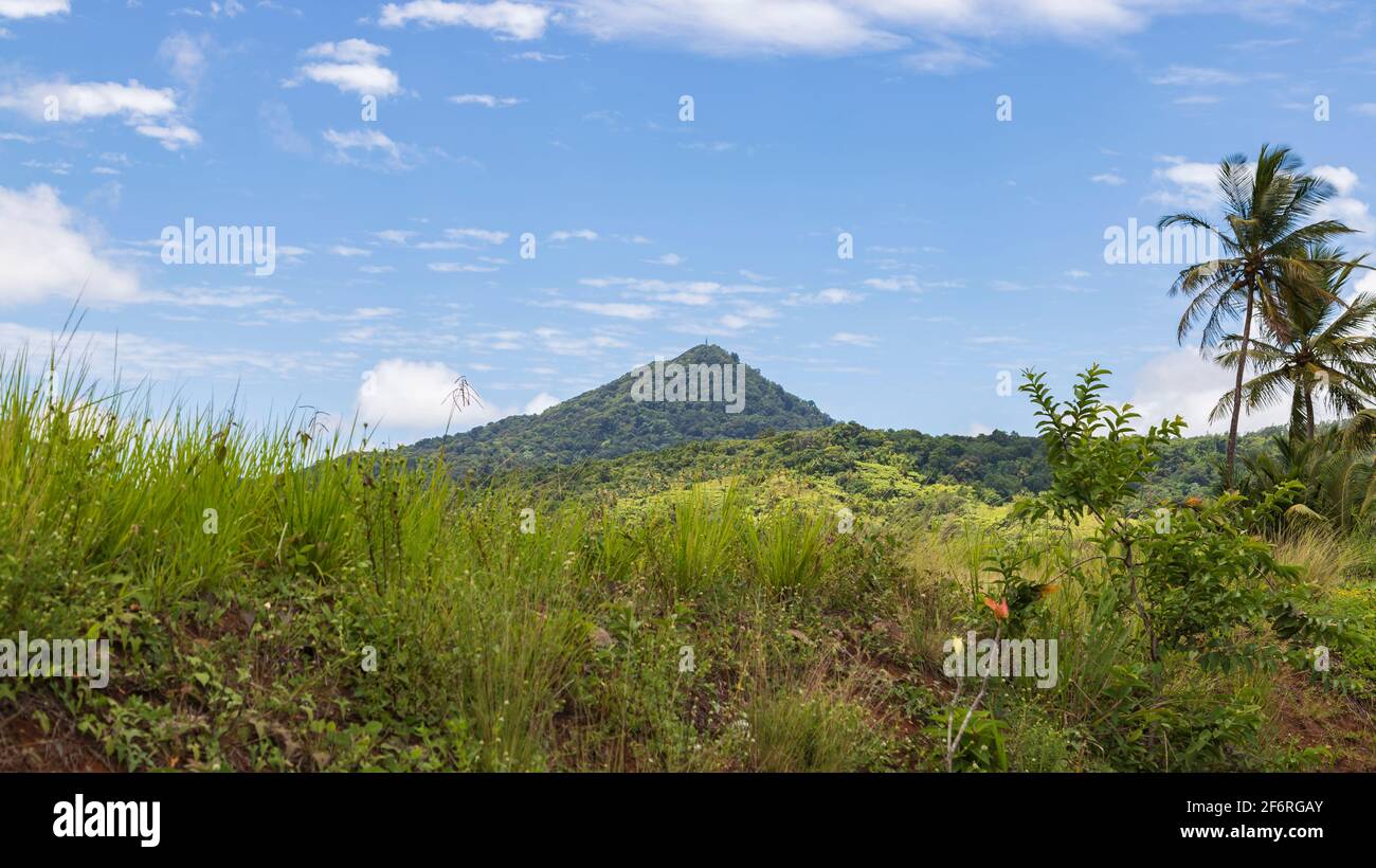 Piton Flore in Forestiere Saint Lucia,  with a popular mountain trail Stock Photo