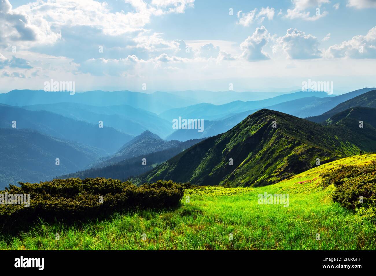 Lush green grass covered mountains meadow in summer time. Soft sunrise ...