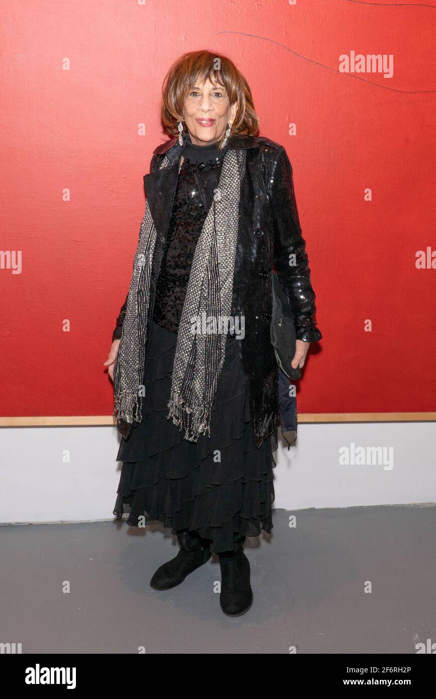 Lucia Kaiser attends the Mia Fonssagrives Solow Sculpture Retrospective Opening Reception at Leila Heller Gallery in New York, NY on April 1, 2021. (Photo by David Warren /Sipa? USA) Stock Photo