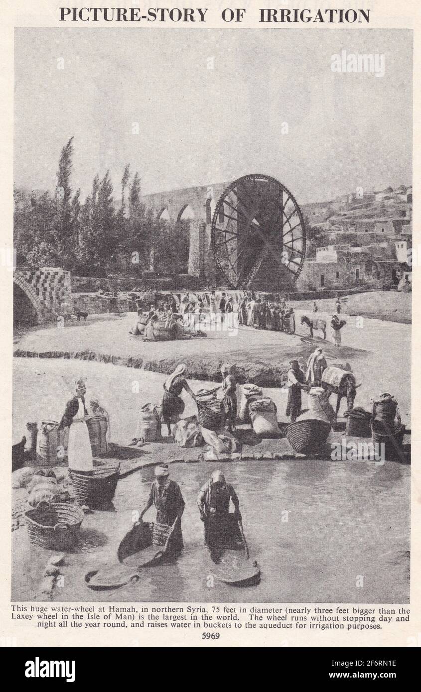 Vintage black and white photo of water wheel at Hamah, Northern Syria 1930s. Stock Photo