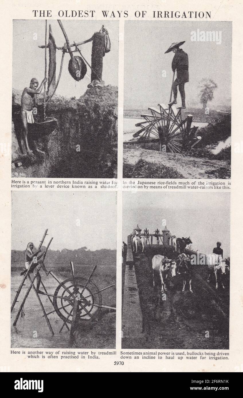 Vintage black and white photos of the oldest ways of irrigation. Stock Photo