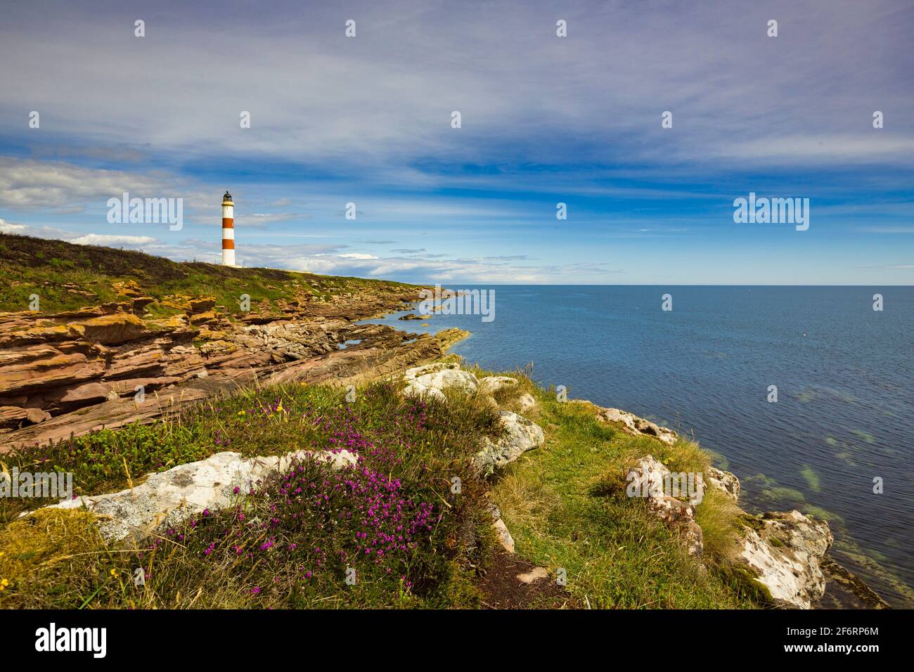 Heather on the cliff edge at Tarbat Ness with the lighthouse in the background. Stock Photo