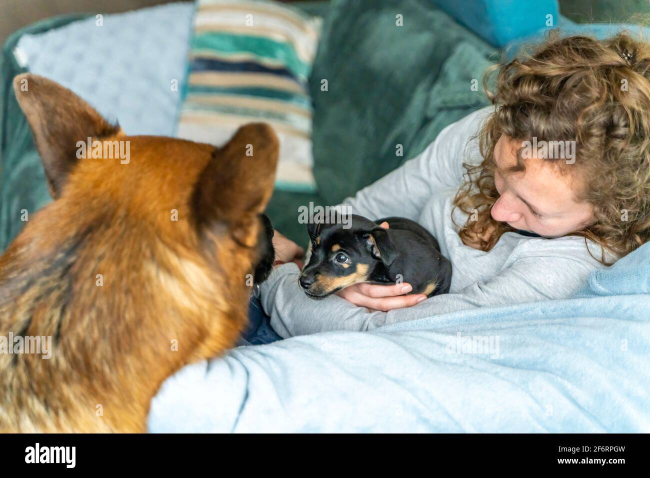 Young woman is sitting on the sofa with her small Jack Russell Terrier