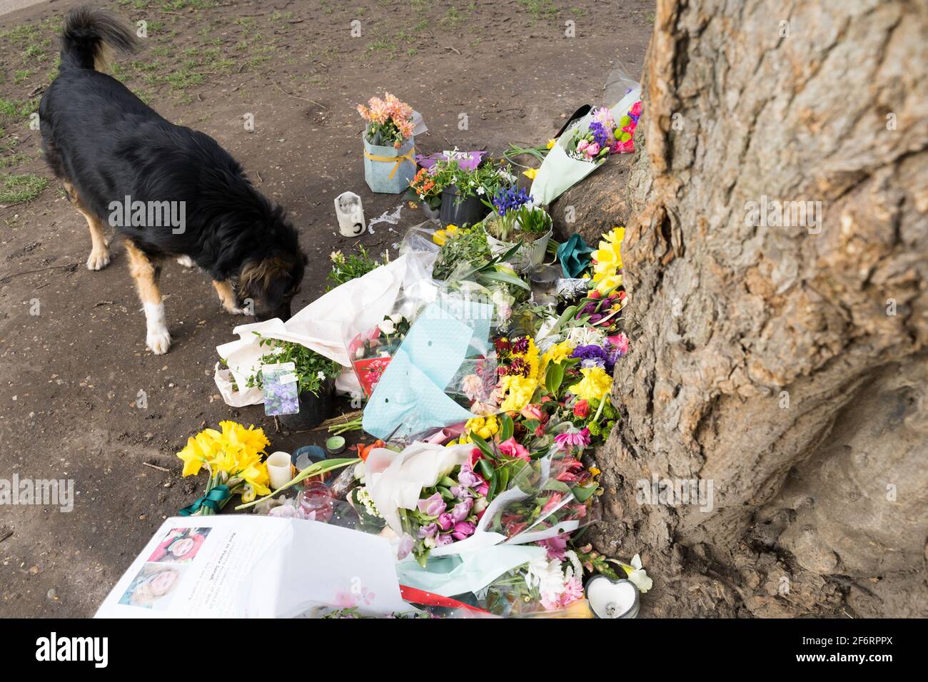 Floral Tributes And Message Left At Clapham Common Bandstand For Sarah