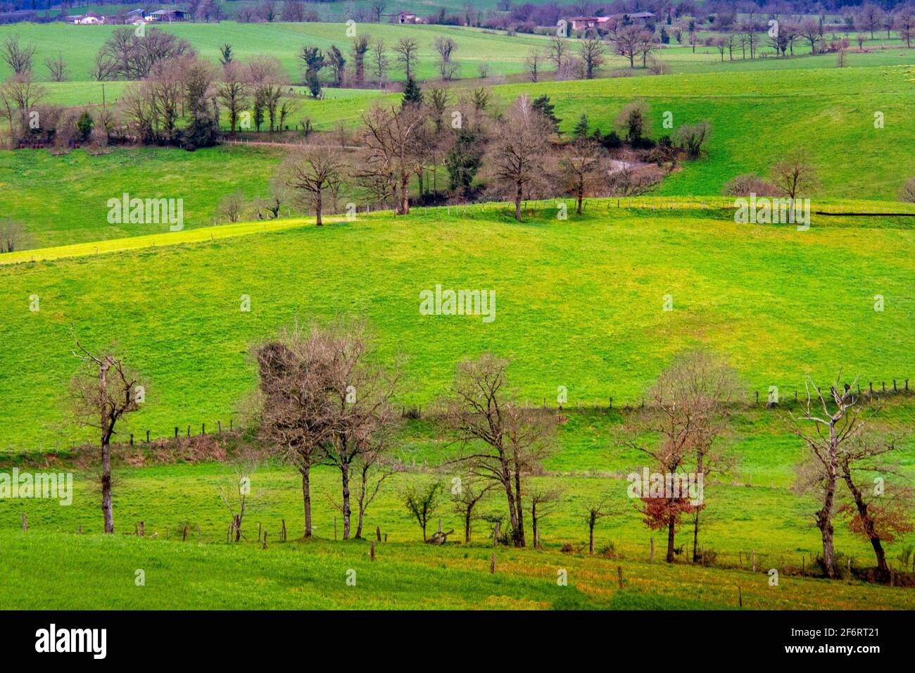 France, Centre, Auvergne, Winter landscape at near Saint Constant, in the Cantal. Stock Photo