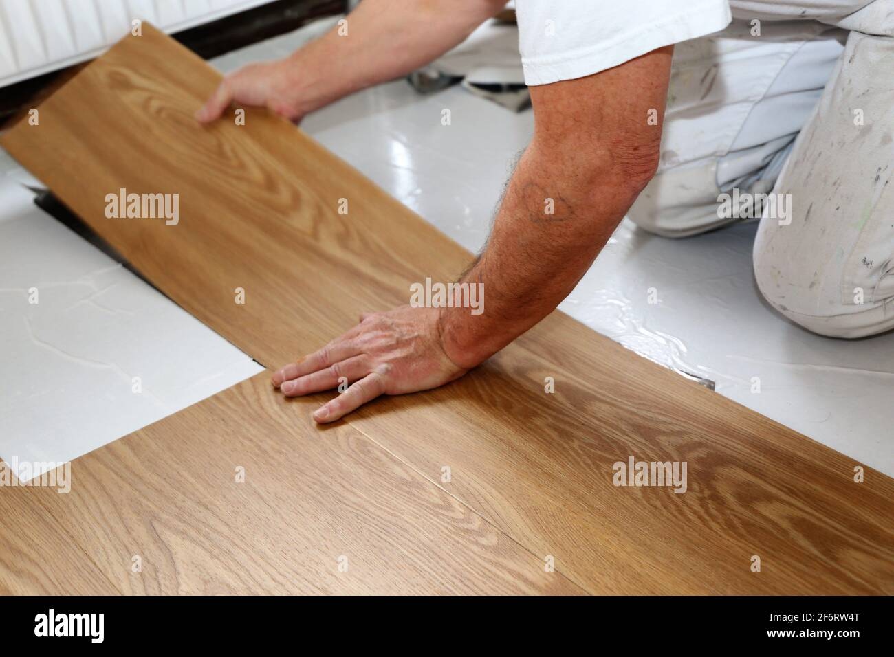 Professional installation of vinyl flooring or pvc flooring. Stock Photo