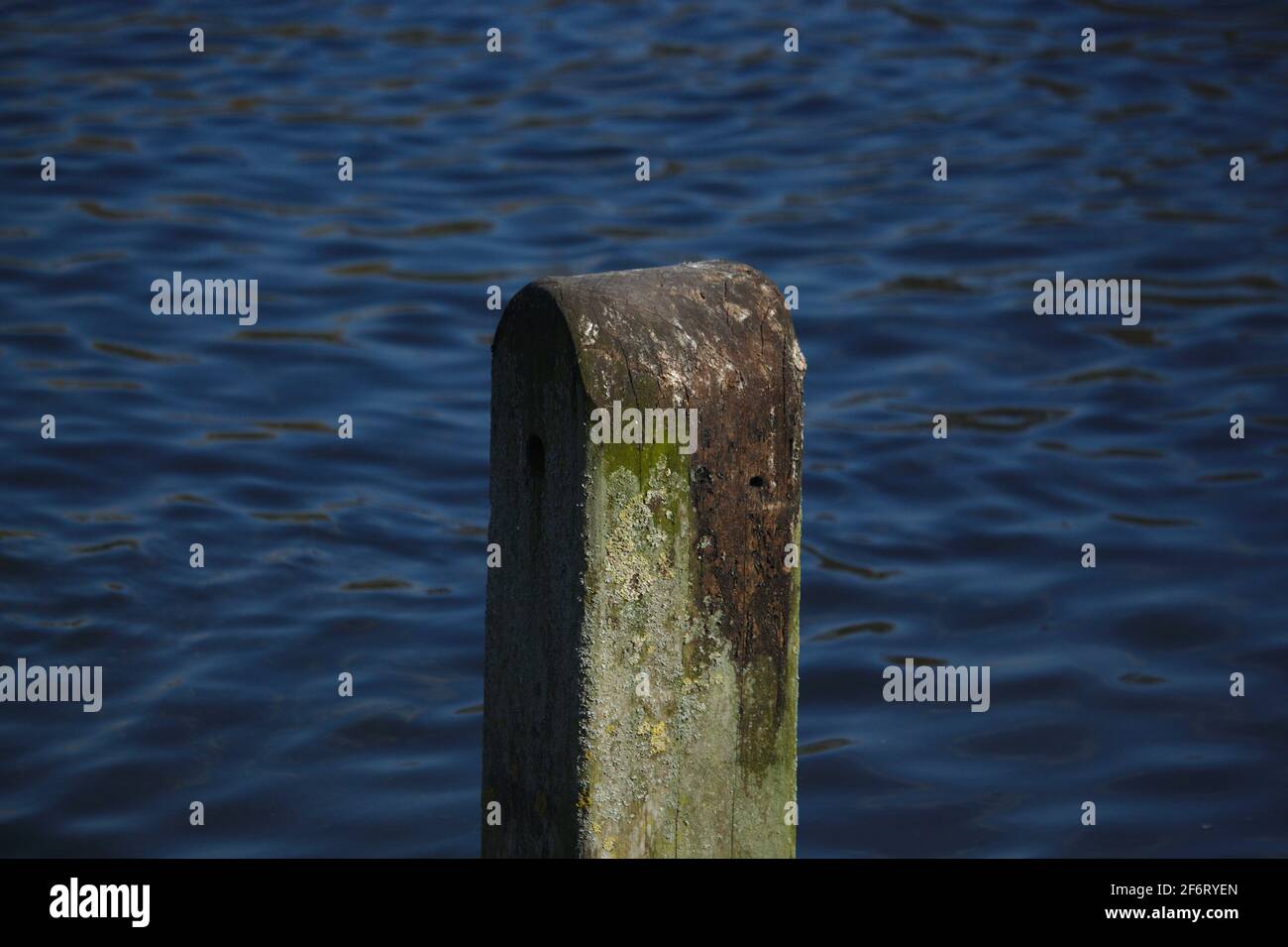 Post in water Stock Photo - Alamy