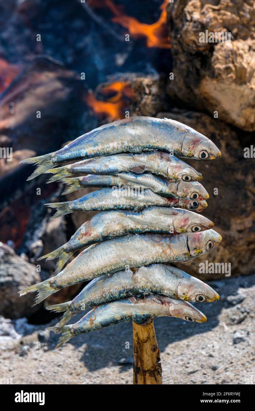 An espeto, or skewer, of sardines grilling over an open fire. Typical Spanish cuisine, particularly in coastal areas. Stock Photo