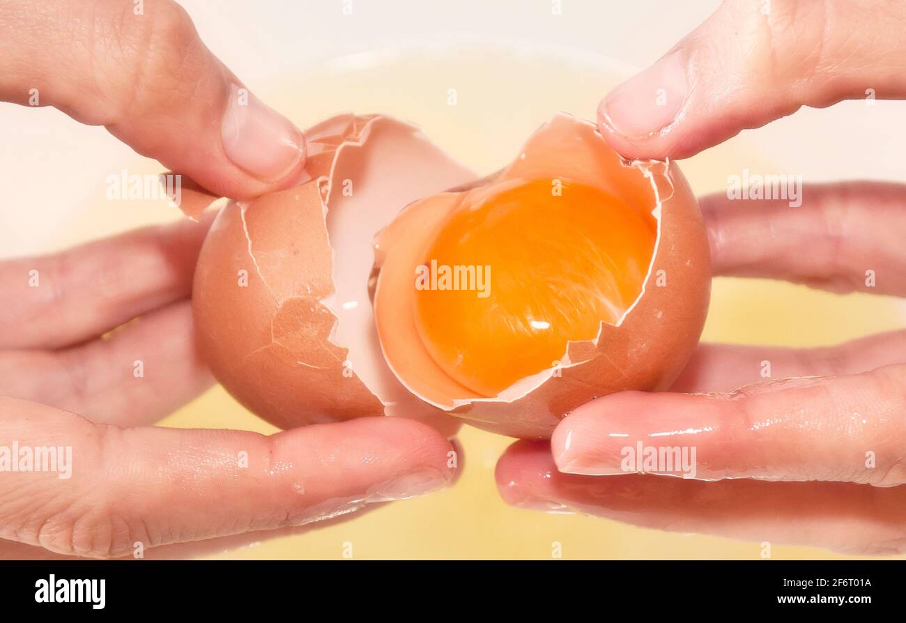 Cake making Hands opening un egg showing a red yolk inside. Rome