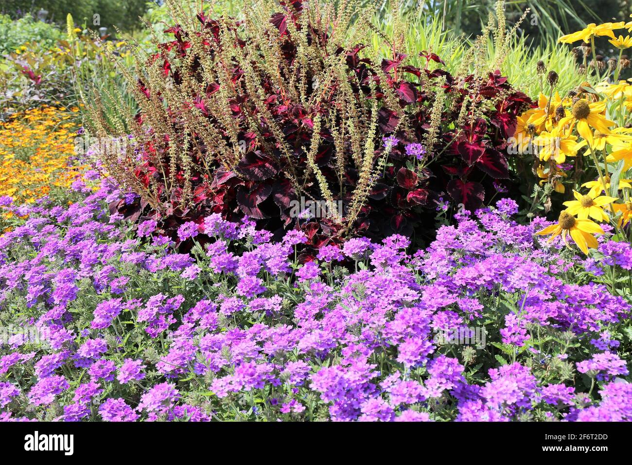 Neat and tidy flower garden. Stock Photo