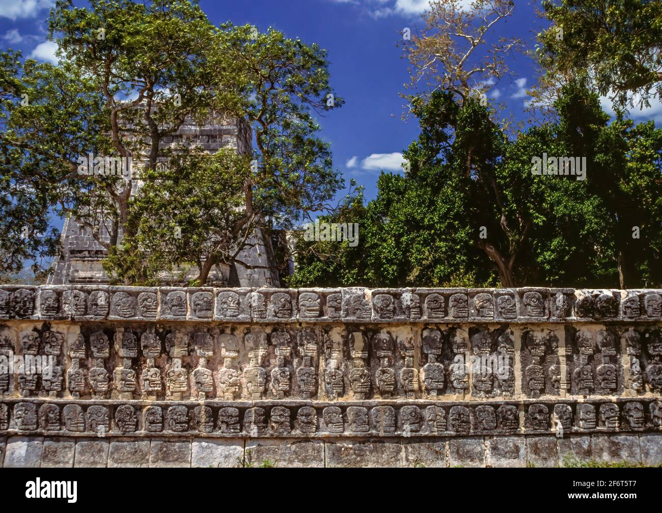 A tzompantli or skull rack is a type of wooden rack or palisade documented in several Mesoamerican civilizations, which was used for the public Stock Photo