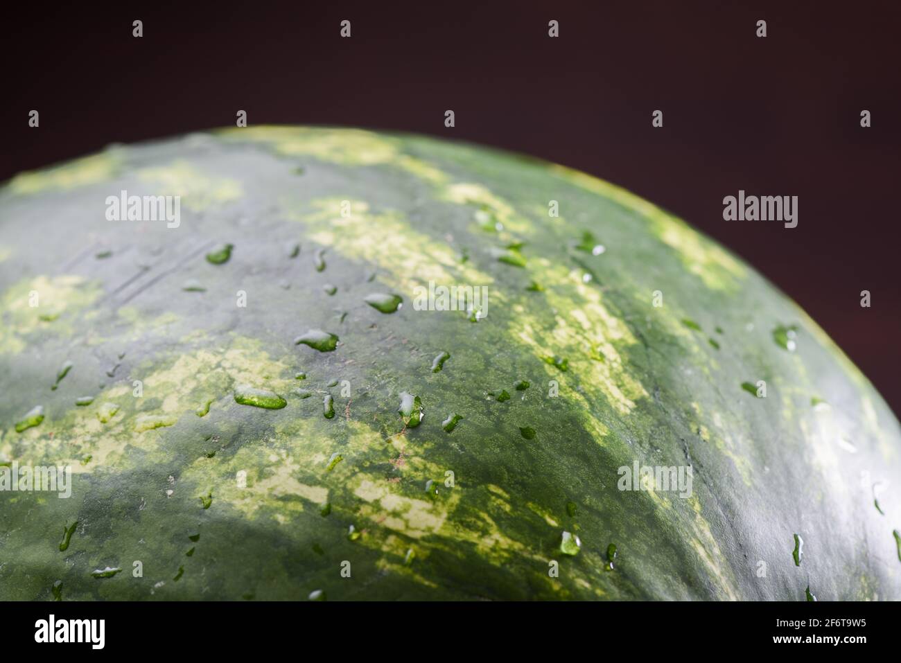 Dark green surface of big watermelon with water drops close up Stock ...