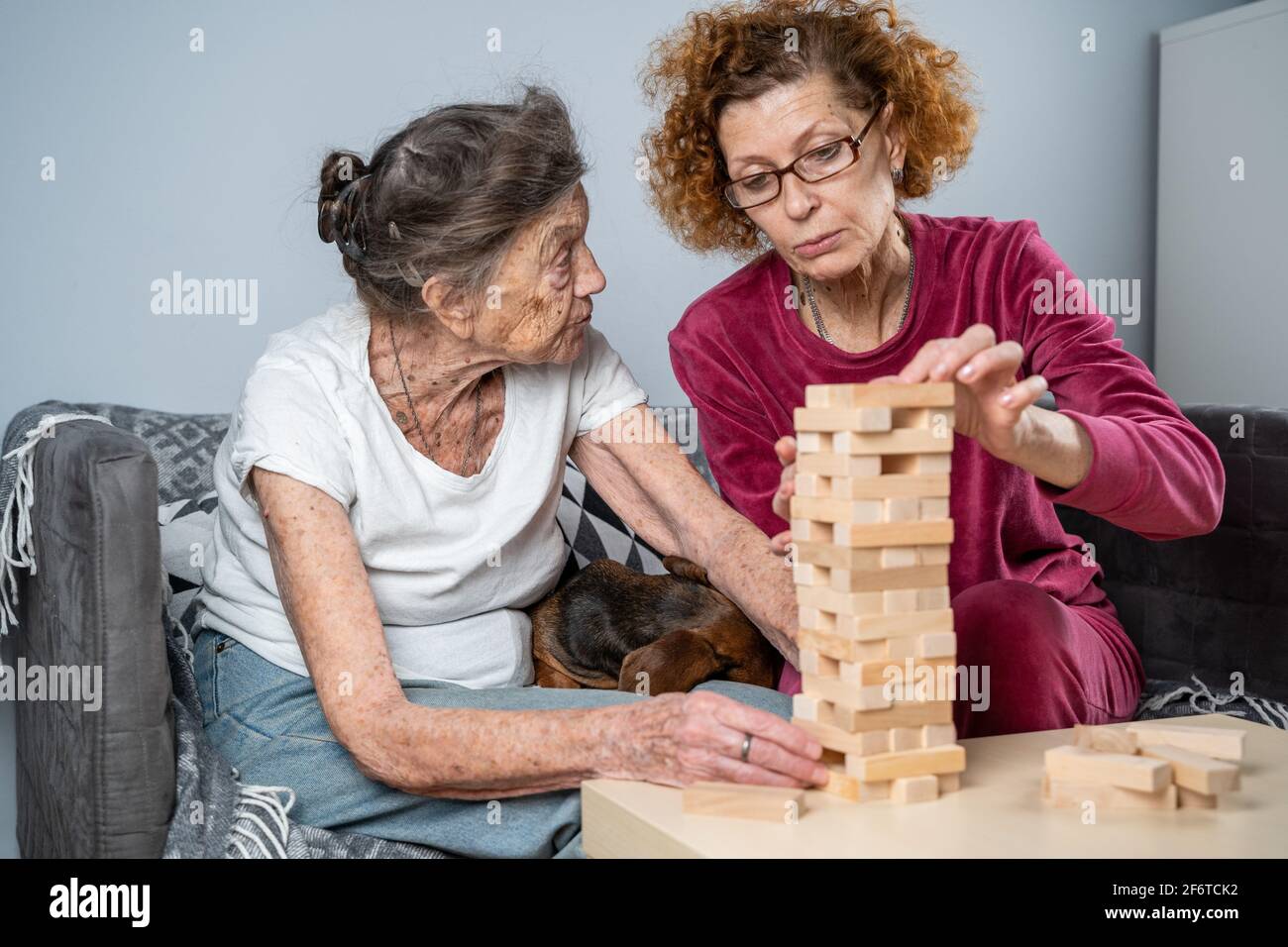 Dementia therapy. Social worker and dog plays an educational board game