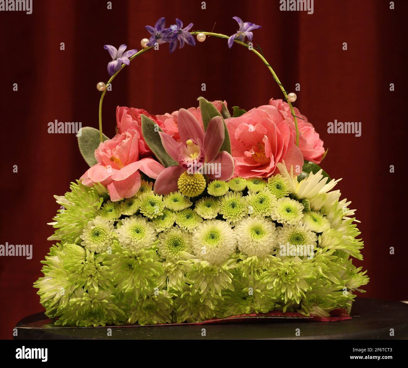 Green chrysanthemums hires stock photography and images Alamy