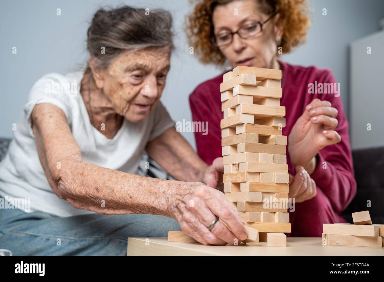 Brain games dog hires stock photography and images Alamy