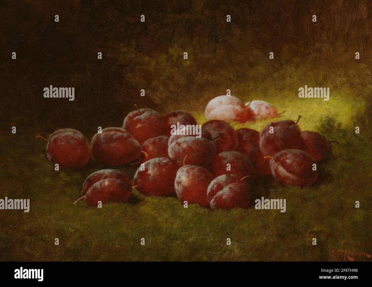 Author: Carducius Plantagenet Ream. Purple Plums - 1895 - Cadurcis Plantagenet Ream American, 1838 - 1917. Oil on canvas. United States. Stock Photo