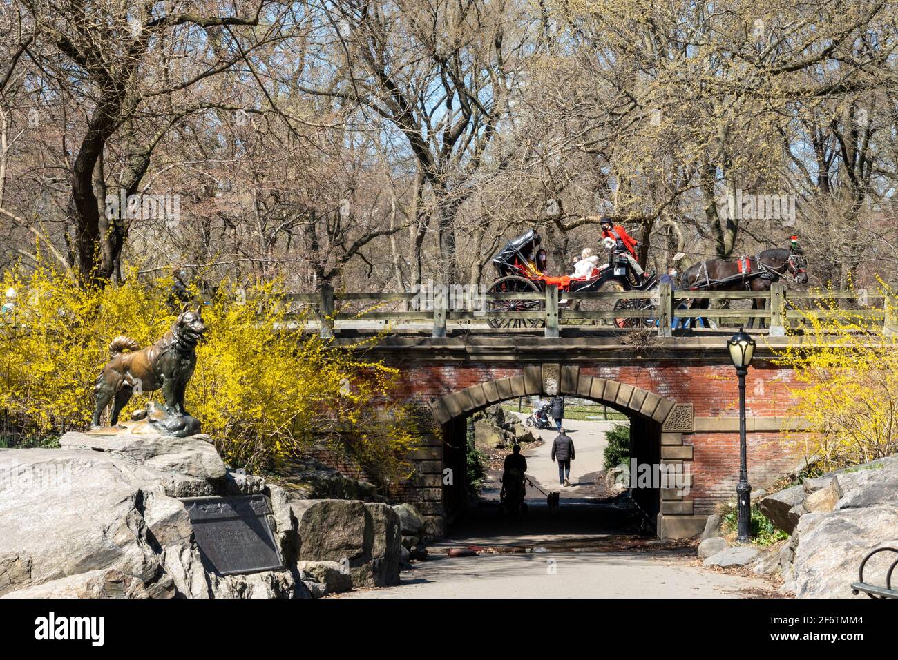 Famous Sled Dog Statue, Balto, in Central Park NYC Stock Photo Alamy