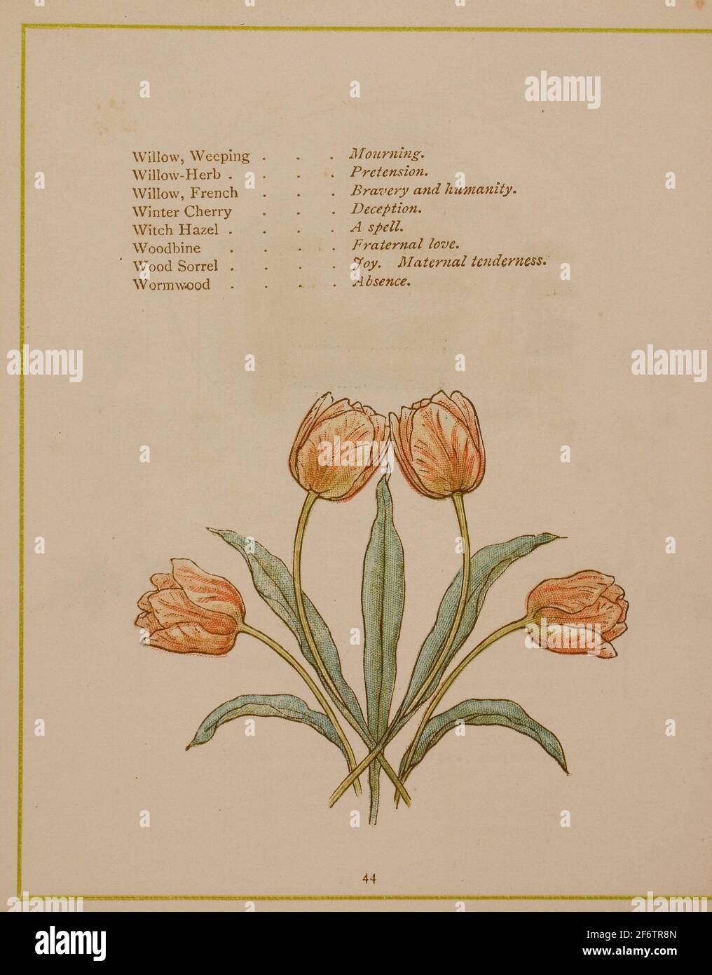 Flower Language High Resolution Stock Photography And Images Alamy