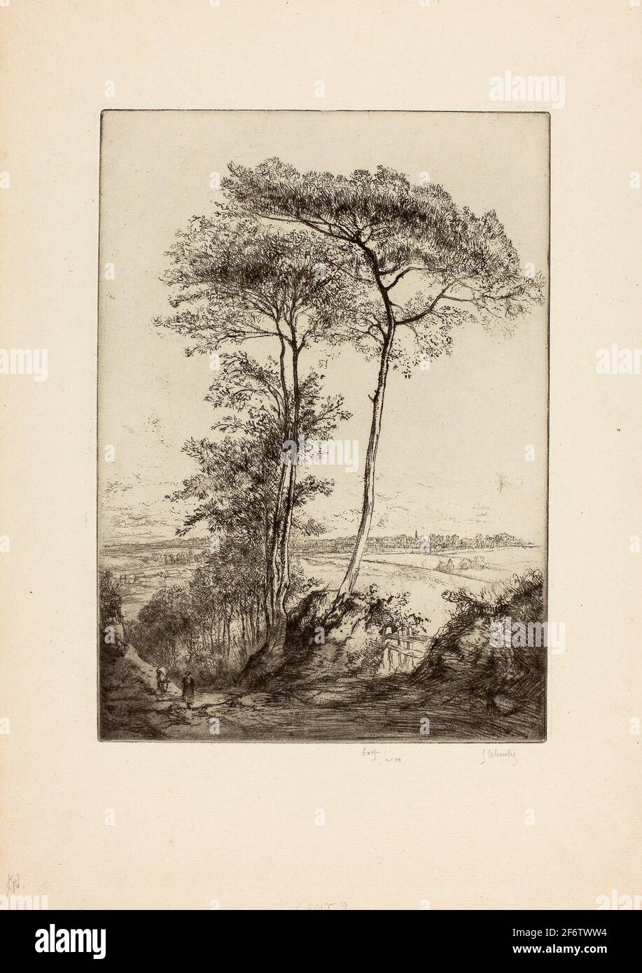The Pines of Saint-Clet-1919-Gustave Leheutre French, 1861-1932. Etching, with drypoint, on greenish (verdtre) laid paper. France. Stock Photo