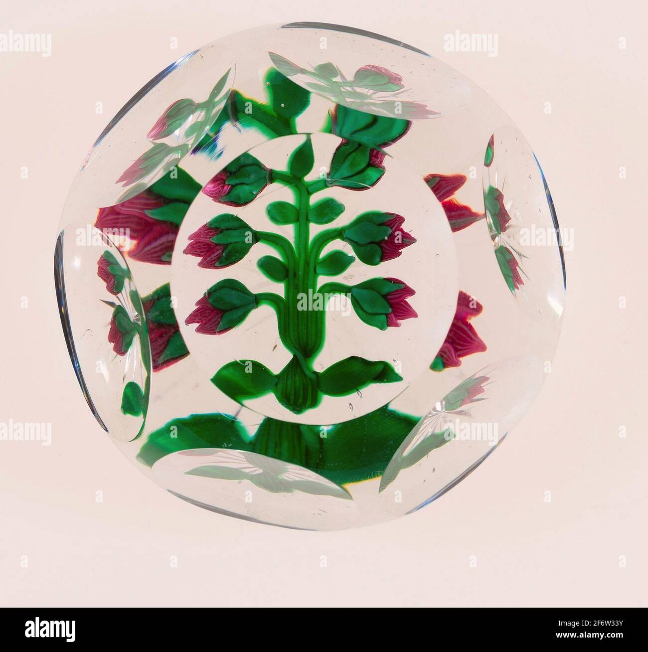 Baccara High Resolution Stock Photography and Images - Alamy