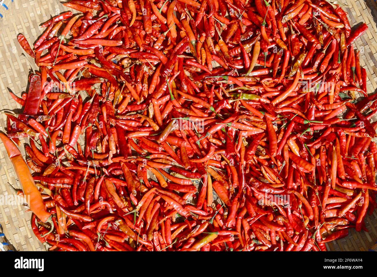 Bangkok, market (chili pepper). Thailand. Stock Photo