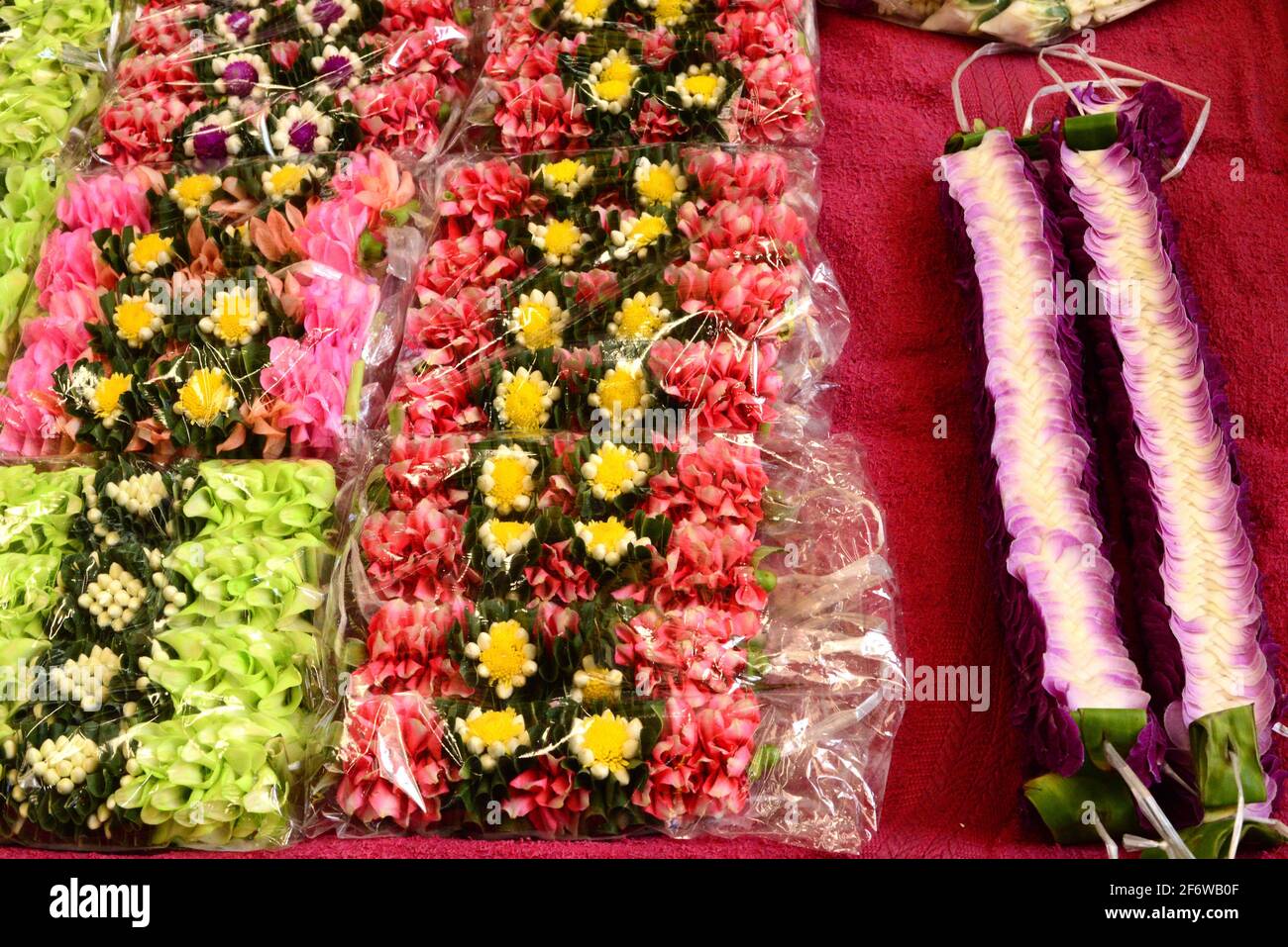 Bangkok, Flowers market. Thailand. Stock Photo