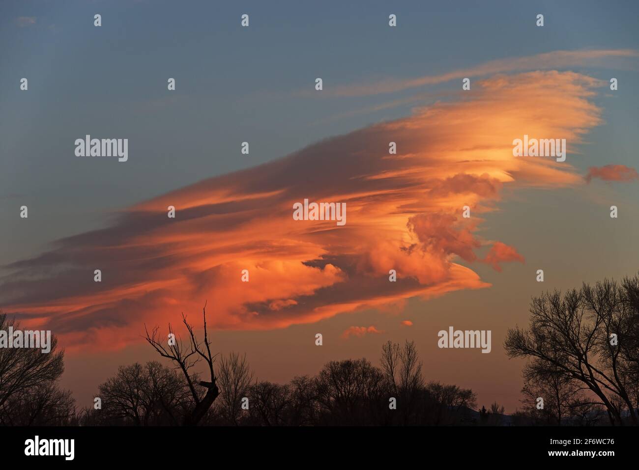 lenticular cloud over the Owens Valley at sunset with silhouette trees at the bottom Stock Photo