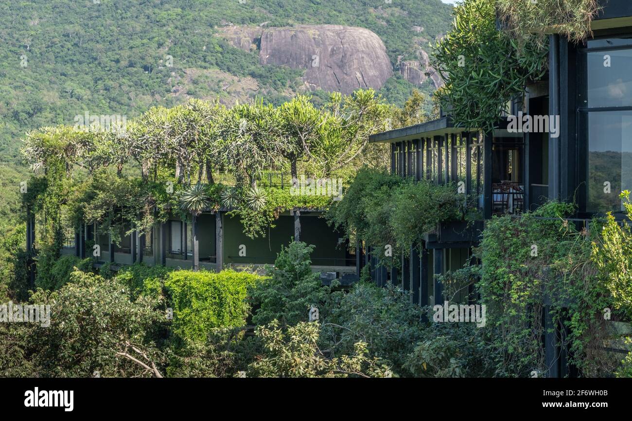 Heritance Kandalama hotel in the jungle in Sri Lanka Stock Photo