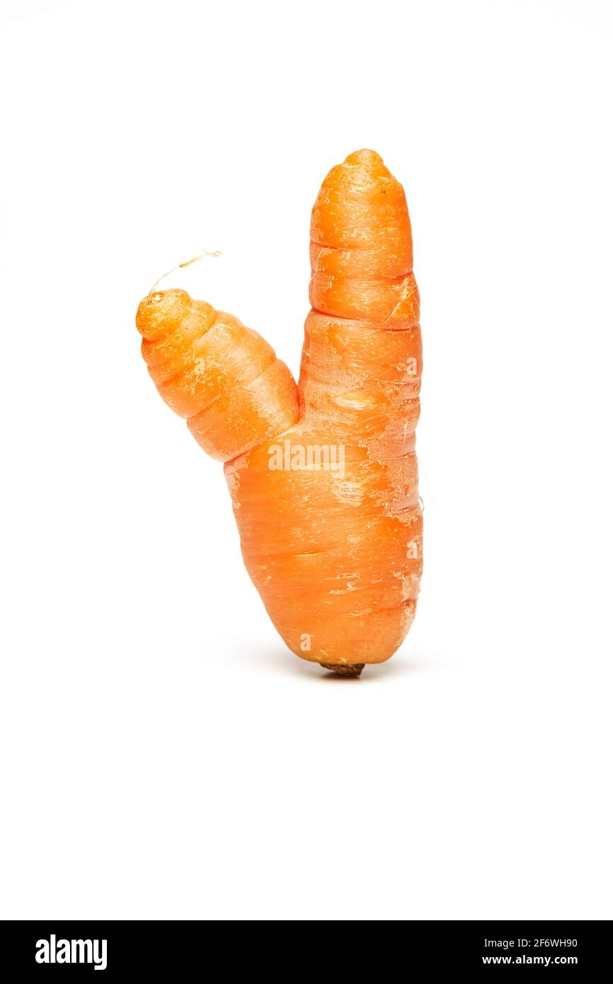 Fresh natural ugly raw carrot isolated on white background. Stock Photo