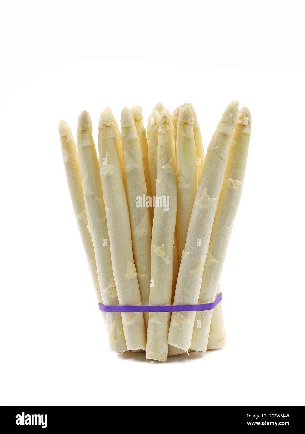 Fresh white asparagus bunch isolated on white background Stock Photo