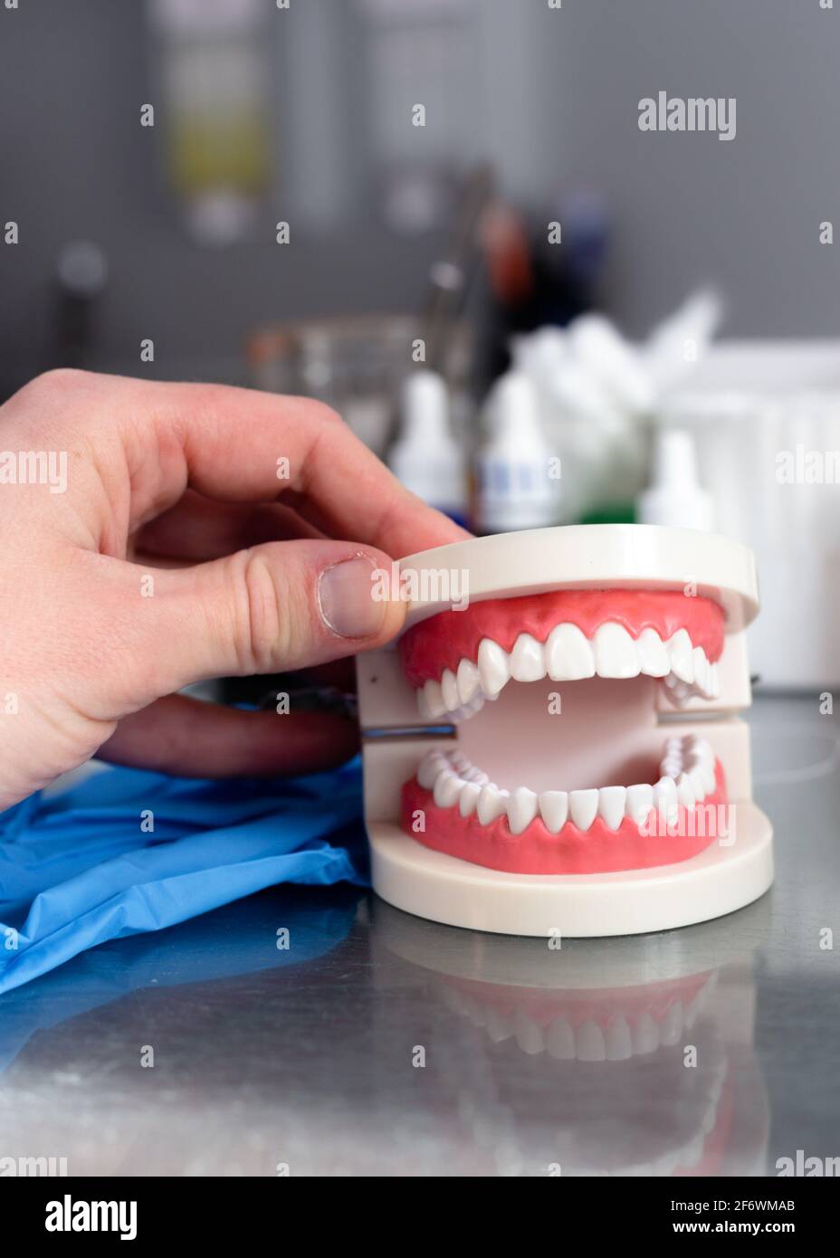 Mock up jaw with teeth on table in dental office Stock Photo