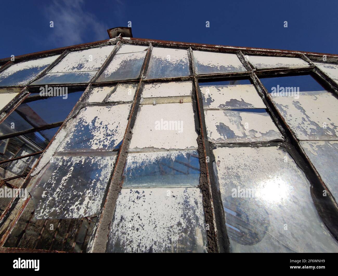 old abandoned greenhouse broken glass windows Stock Photo Alamy