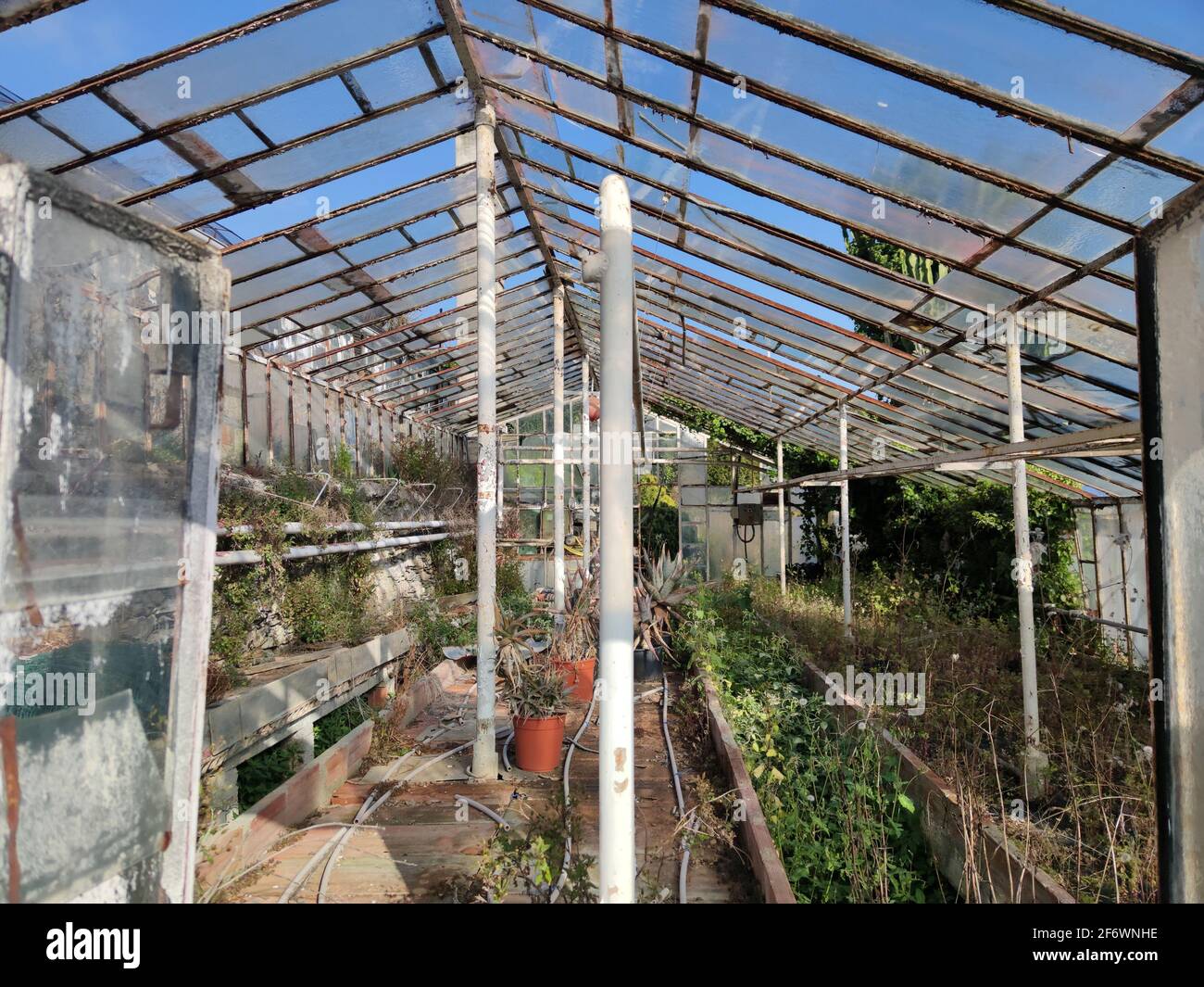 old abandoned greenhouse broken glass windows Stock Photo Alamy