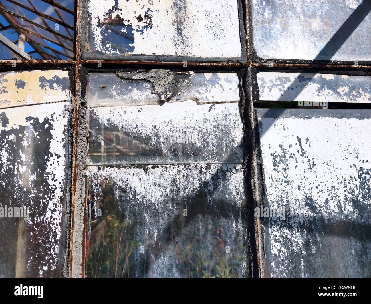old abandoned greenhouse broken glass windows Stock Photo Alamy