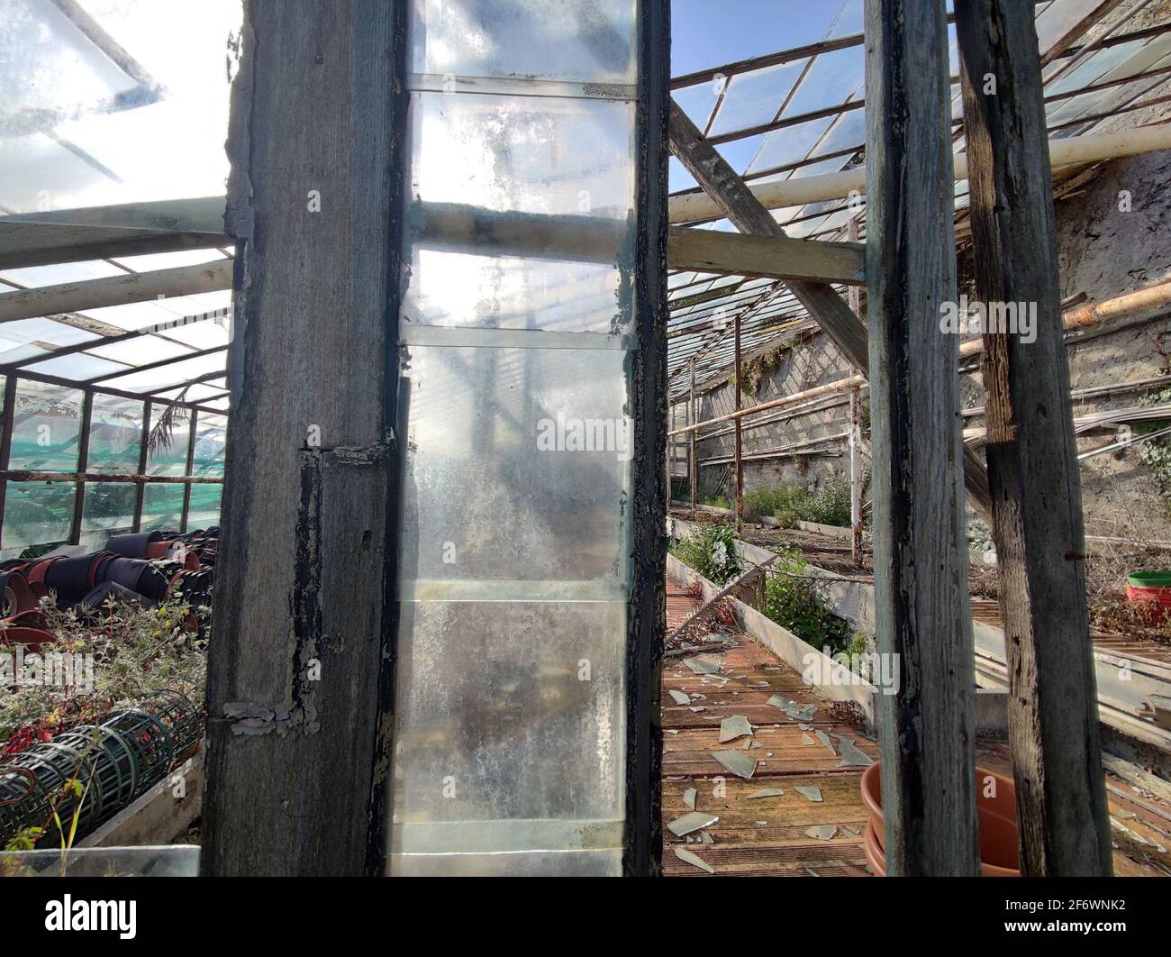 old abandoned greenhouse broken glass windows Stock Photo Alamy