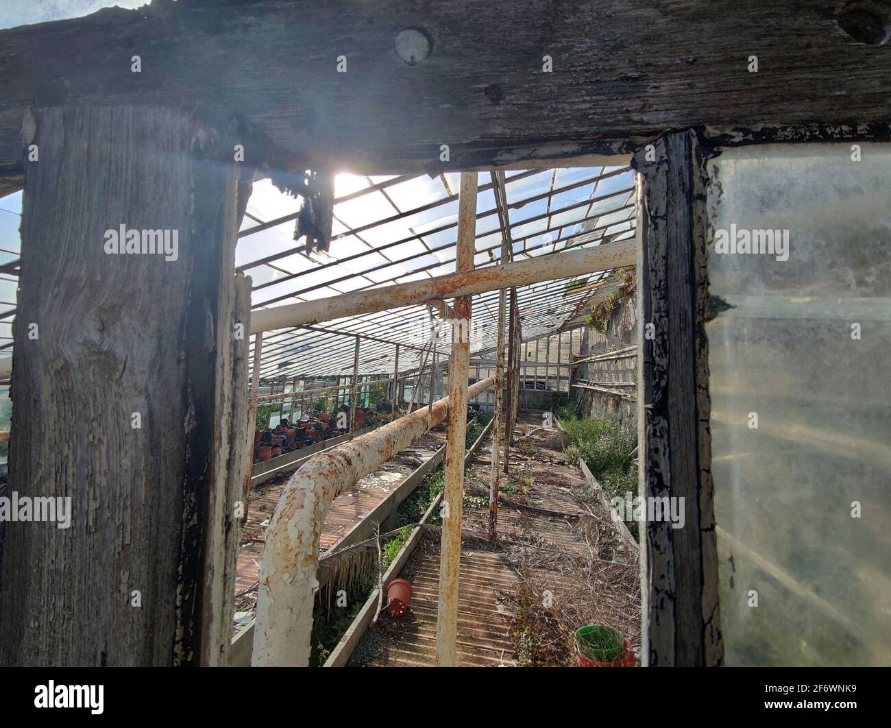 old abandoned greenhouse broken glass windows Stock Photo Alamy