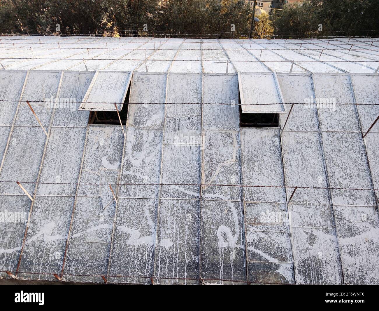 old abandoned greenhouse broken glass windows Stock Photo Alamy
