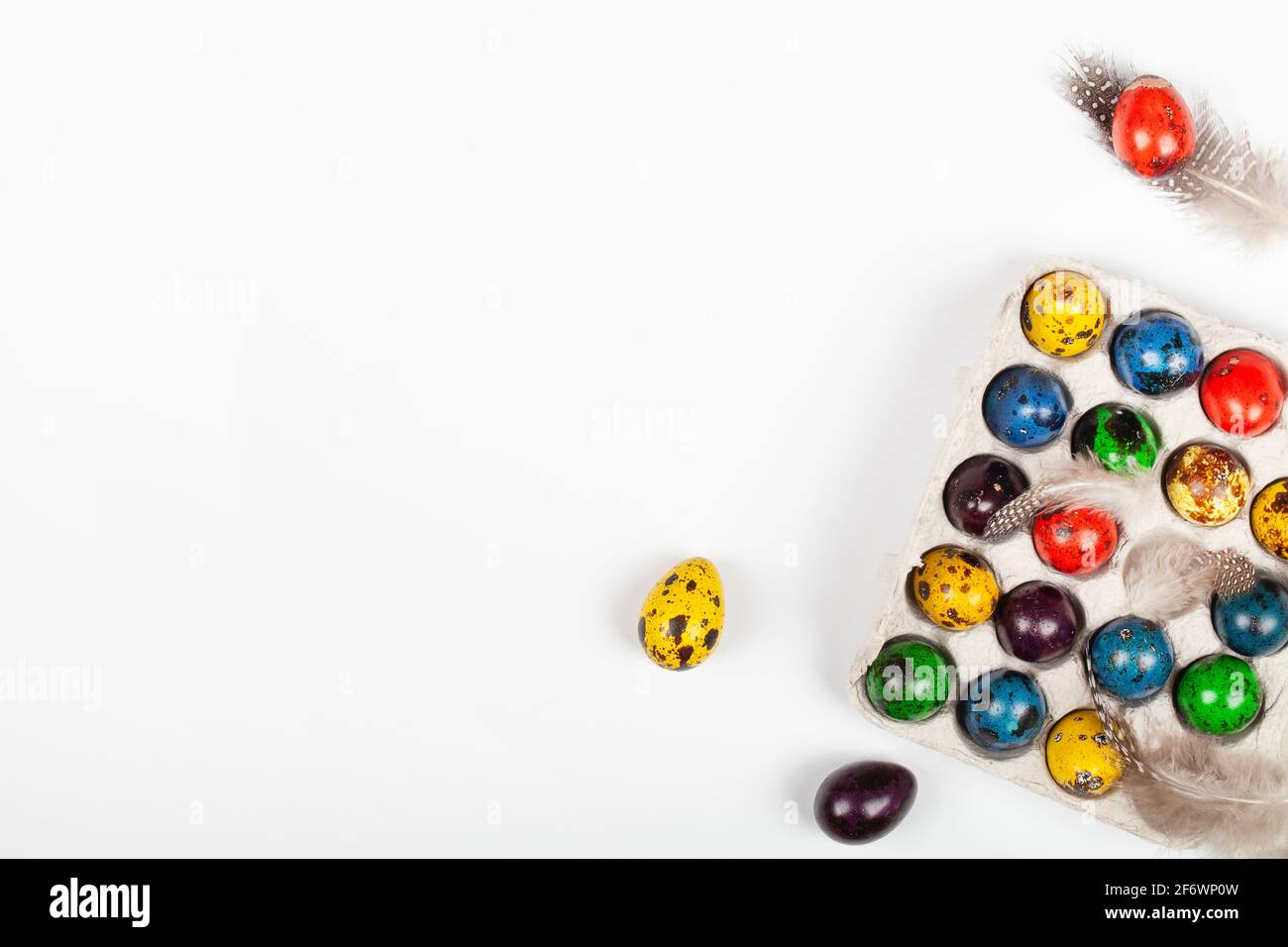 colorful easter quail eggs in box with feathers on white background ...