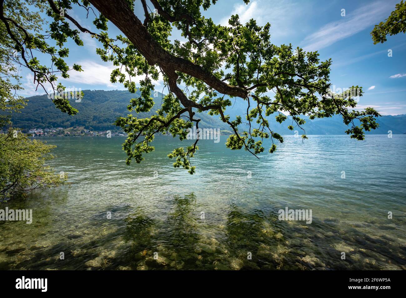 Traunsee lake in Orter Bucht Nature Reserve Stock Photo