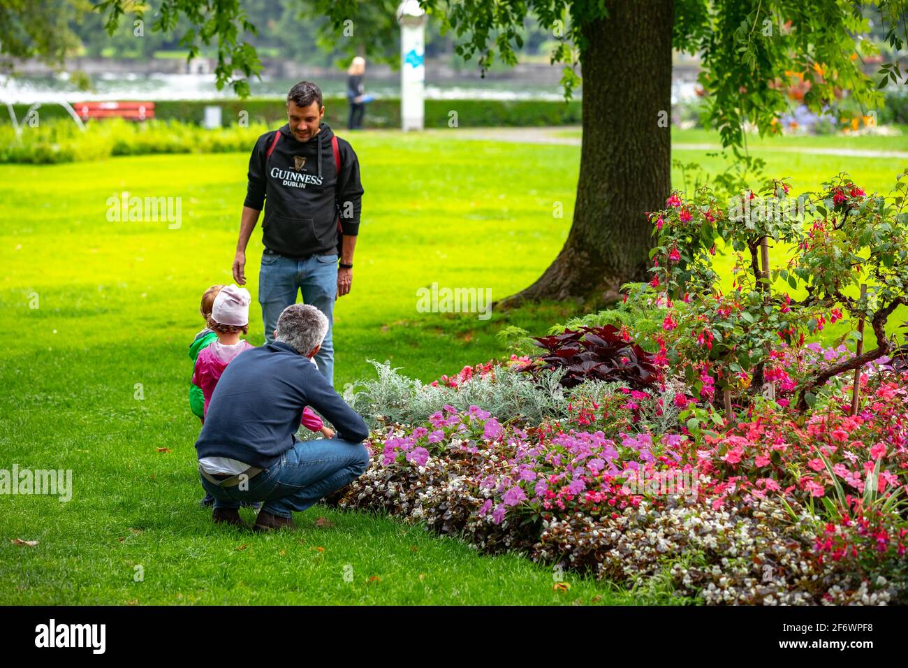 Various plants and flowers on Stadtgarten / Stadt garden in Lindau, Germany Stock Photo