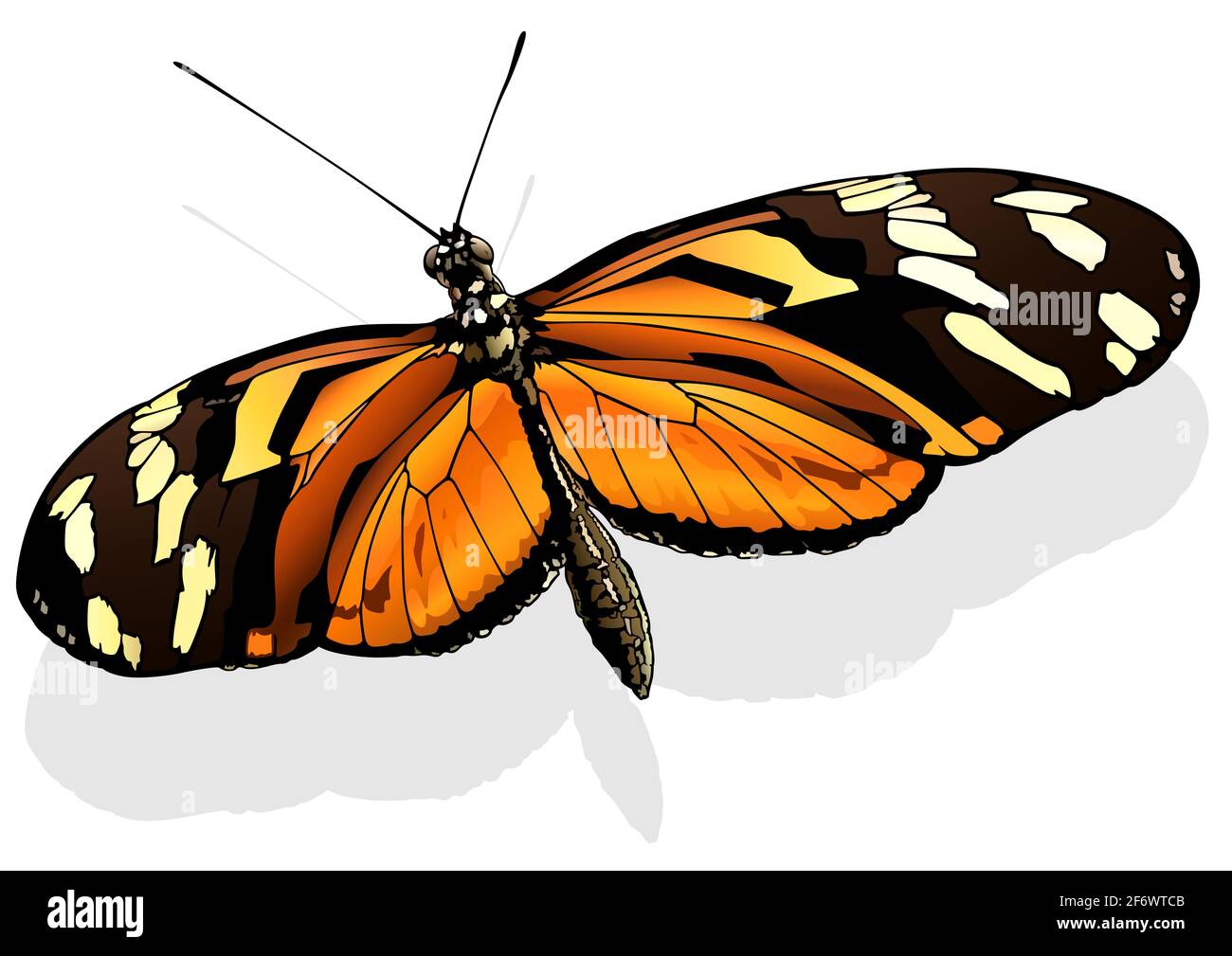 Share More Than Tiger Butterfly Drawing Latest Seven Edu Vn