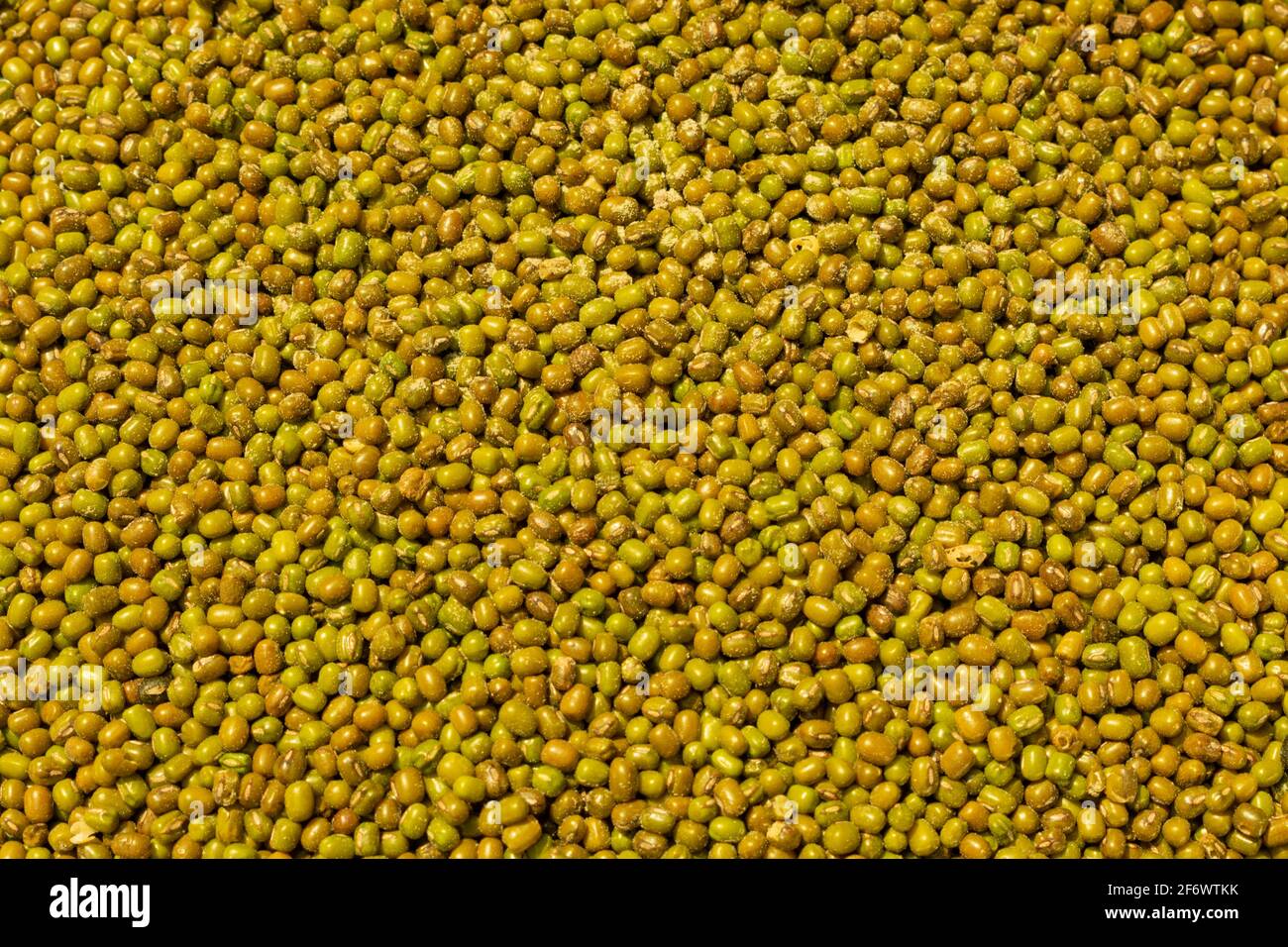 The mung bean alternatively known as the green gram, maash, moong, monggo, munggo is mainly cultivated in Indian subcontinent Stock Photo