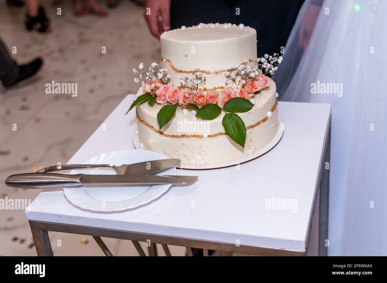 Newlyweds cut the wedding cake. The bride and groom at the wedding cut
