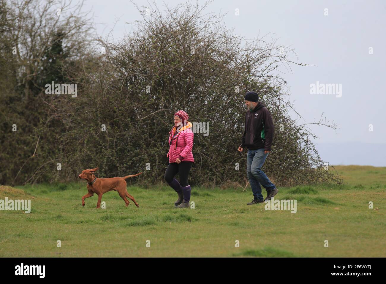 Stroud, UK, 3rd April, 2021. UK Weather. Overcast skies with chilly winds as the walkers on Rodborough Common wrap up after warm temperatures earlier in the week. Gloucestershire. UK. Stock Photo