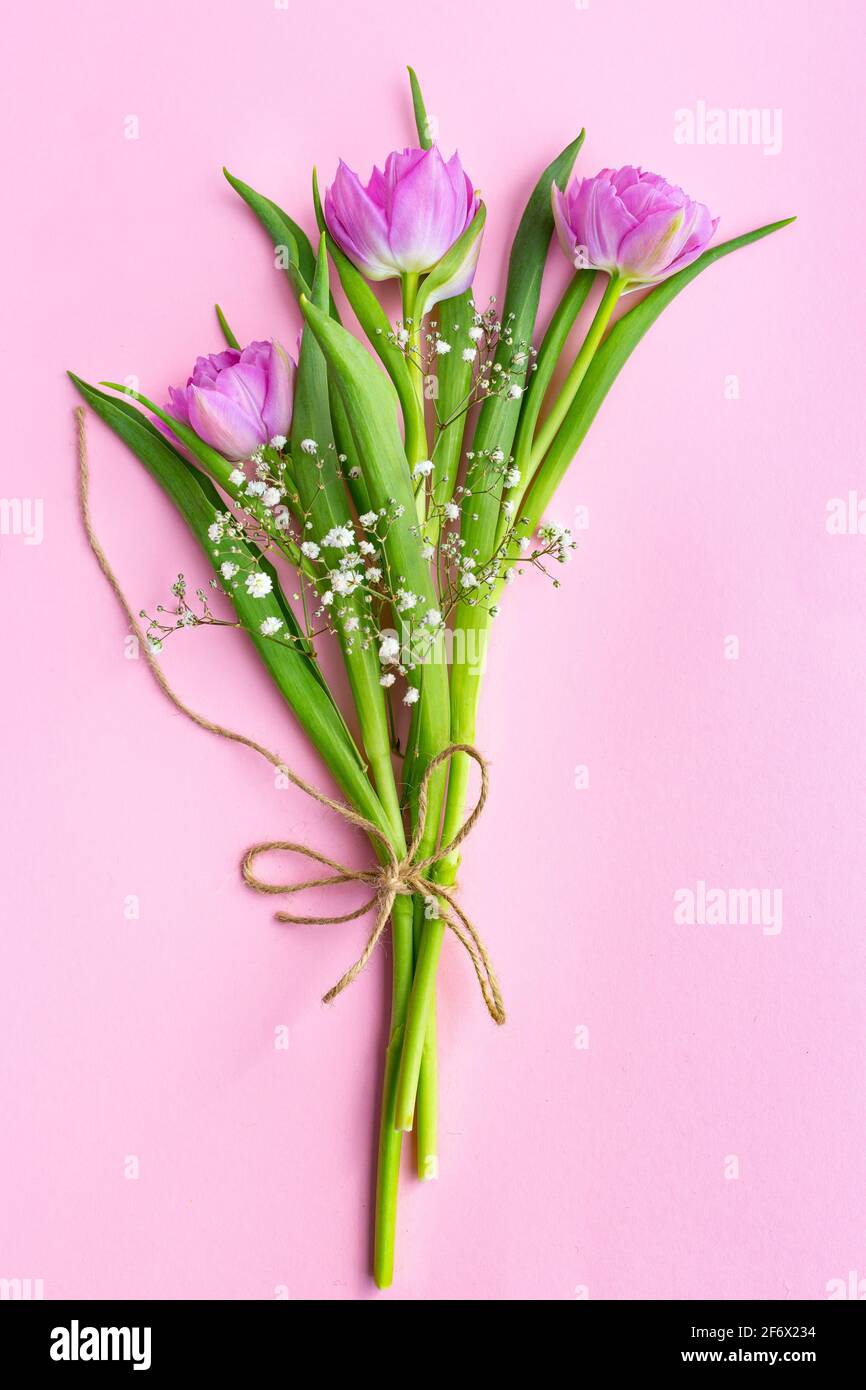 Bouquet of pink tulips and gypsophila tied with a jute rope on a pink ...