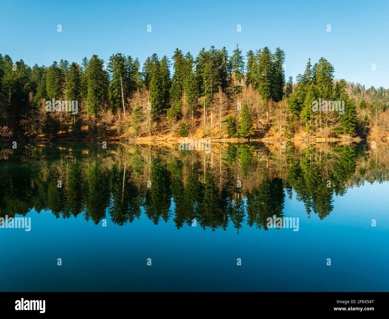 Zen on Lokve lake in Croatia Europe Stock Photo