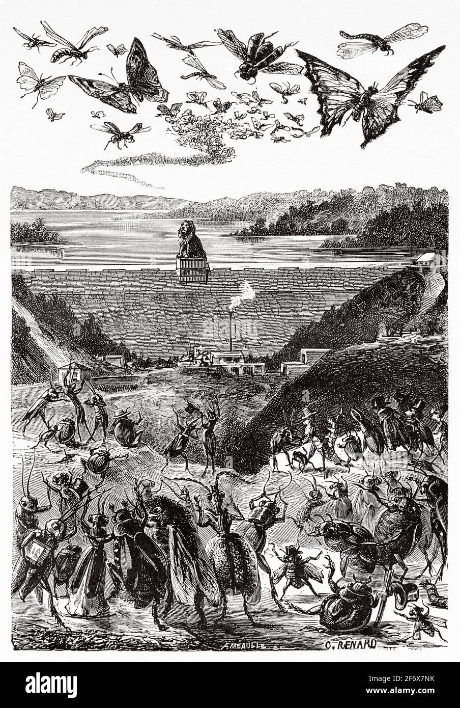 Old illustration from the nineteenth century of La Gileppe. The misfortunes of an insect population, Paris 1879. Scientific novels by Ernest Charles Auguste Candèze (1827-1898) Belgian physician and entomologist. France, Europe. Old 19th century engraved illustration from El Mundo Ilustrado 1879 Stock Photo