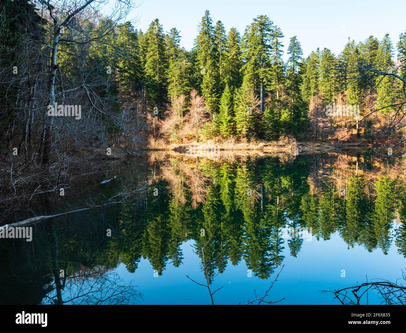 Zen on Lokve lake in Croatia Europe Stock Photo