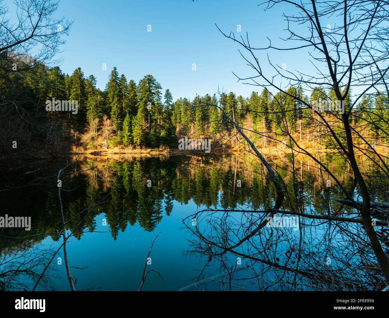 Zen on Lokve lake in Croatia Europe Stock Photo