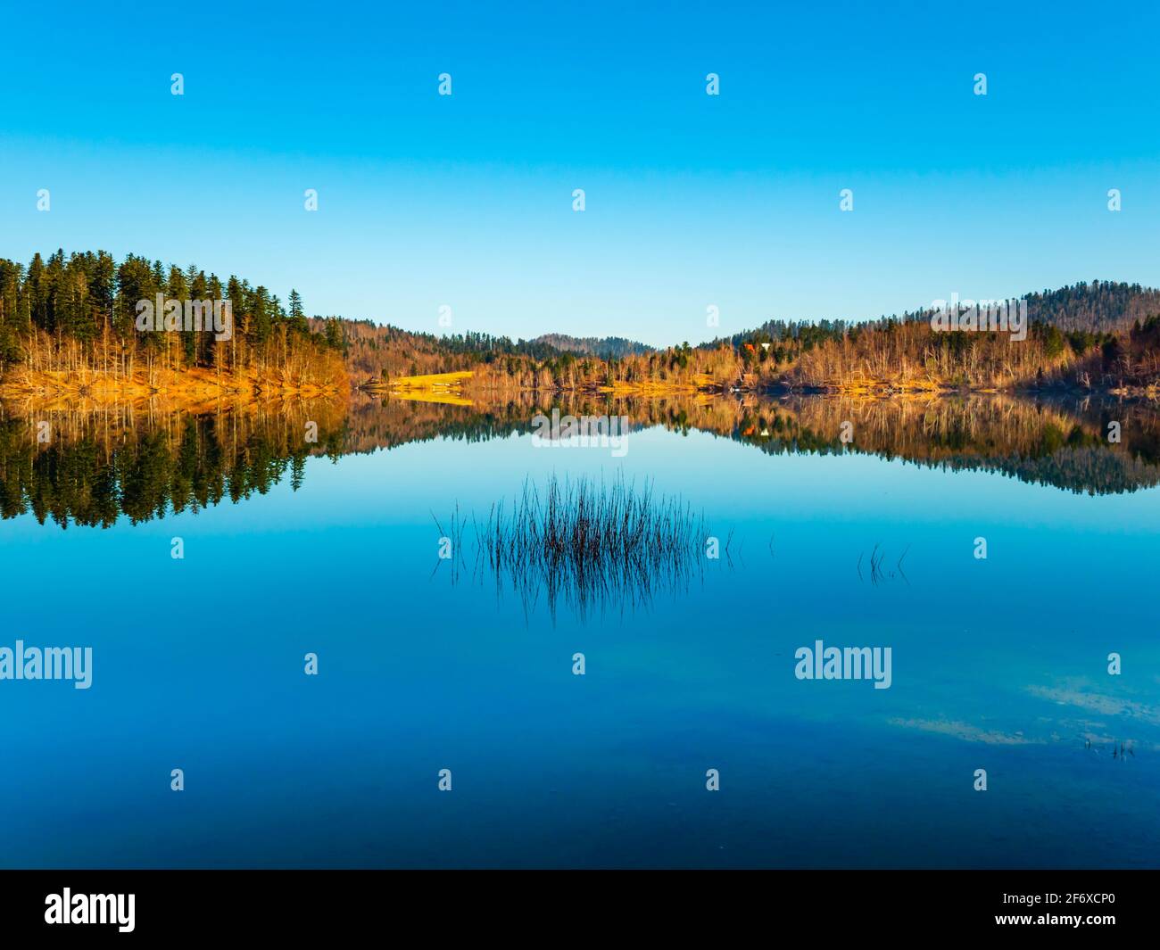 Zen feeling in Lokve lake in Croatia Europe Stock Photo